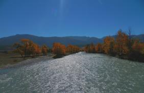 Фотоконкурс Золототая осень на Алтае 2018. Мост через реку Чуя.