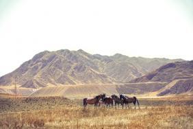 Алтай. В окрестностях Большого Яломана-  сентябрь 2025