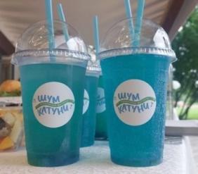 Музыкальный фестиваль Шум Катуни