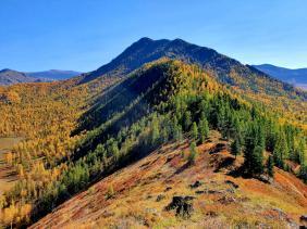 Фотоконкурс Золотая осень на Алтае 2020. Филаретова гора. Дата:20.09.2020