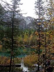 Фотоконкурс Золотая осень на Алтае 2020. Гейзеровое озеро. Дата 13.09.2020