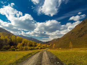 Фотоконкурс Золототая осень на Алтае 2018. В районе села Эдиган.