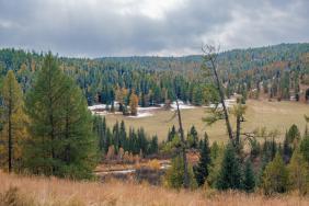 Фотоконкурс Золотая осень на Алтае 2021