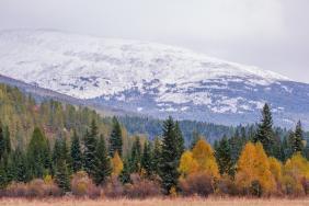 Фотоконкурс Золотая осень на Алтае 2021