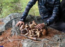 Автор фото: sergey-63