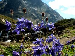 Автор фото: sergey-63