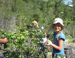 Автор фото: sergey-63