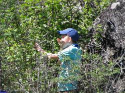 Автор фото: sergey-63