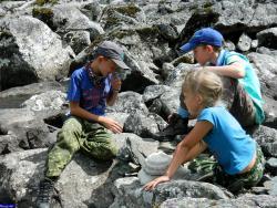 Автор фото: sergey-63