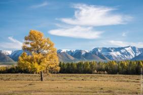 Фотоконкурс  «Золотая осень на Алтае 2024»