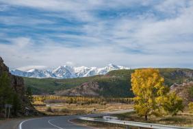 Фотоконкурс Золотая осень на Алтае 2020. Северо-Чуйский хребет, близ п. Курай. дата: 16.09.2020
