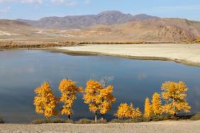 Фотоконкурс Золотая осень на Алтае 2019