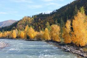 Фотоконкурс Золотая осень на Алтае 2019