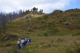Горный Алтай : Семинский перевал : По дороге на вершину горы Тияхта