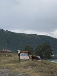 1. Без сомнения, на Чемале самая свежая шаурма! с. Элекмонар у скалы Зубы Дракона