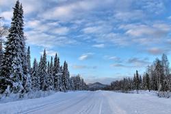 Туркомплекс Тура. Алтай