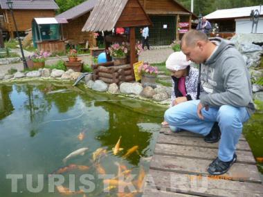 Главное вовремя занять позицию, и тогда можно давить на жалость...  - Милая рыбка исполни желанья... Место: Царская охота Алтай.