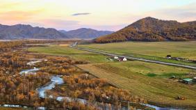 Алтай. Золотой осенний вечер с видом на реку Чарыш и Уймонский тракт, 28.09.25  Автор: Елена Утробина 