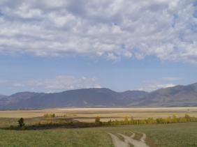 Фотоконкурс Золотая осень на Алтае 2019 