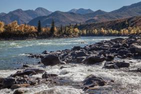 Фотоконкурс Золототая осень на Алтае 2018. Сентябрь,2017 года, 30 число. Устье реки Большой Ильгумень на Катуни.