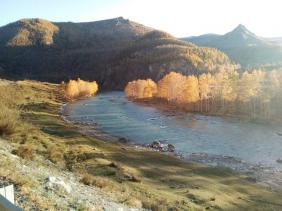 Фотоконкурс Золотая осень на Алтае 2019