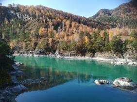 Фотоконкурс Золотая осень на Алтае 2019