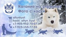 Altyn Kyol  Катание на собачьей упряжке. Фото с хаски. 