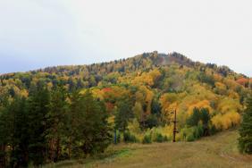 Фотоконкурс Золотая осень на Алтае 2019