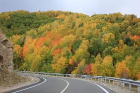 Фотоконкурс Золототая осень на Алтае 2019