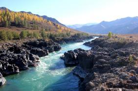 Фотоконкурс Золототая осень на Алтае 2019