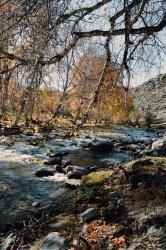 Фотоконкурс Золотая осень на Алтае 2019