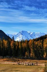 Фотоконкурс Золотая осень на Алтае 2019