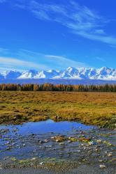 Фотоконкурс Золотая осень на Алтае 2019