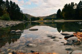 Фотоконкурс Золотая осень на Алтае 2019