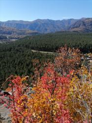 Фотоконкурс Золотая осень на Алтае 2021