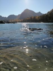 Фотоконкурс Золотая осень на Алтае 2021