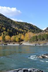 Фотоконкурс Золотая осень на Алтае 2020. Дорога  Чемал- Куюс. Дата: 08.10.2017