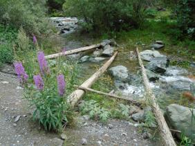 Фотоконкурс Смехотурики 2022  Завгородько Вера