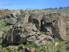 Фотоконкурс Смехотурики 2022  Завгородько Вера