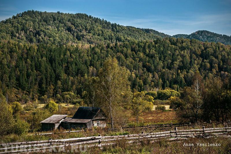 Салганда (Горный Алтай)