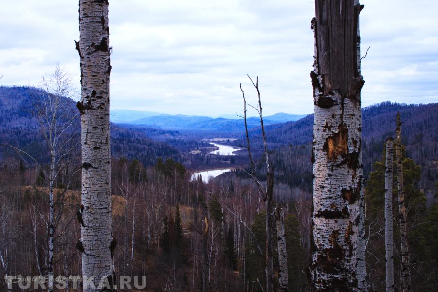  Турочакский район. Алтай.