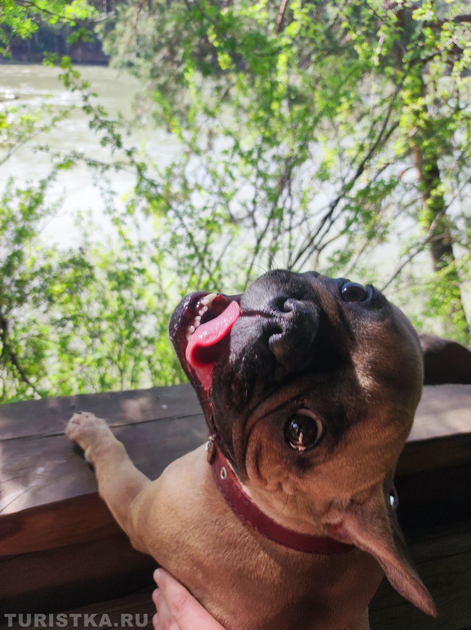 « Мааам, ну отпусти, а то меня кошки засмеют»