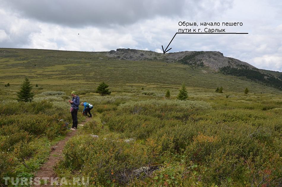 Тропинка по долине среди карликовой березки