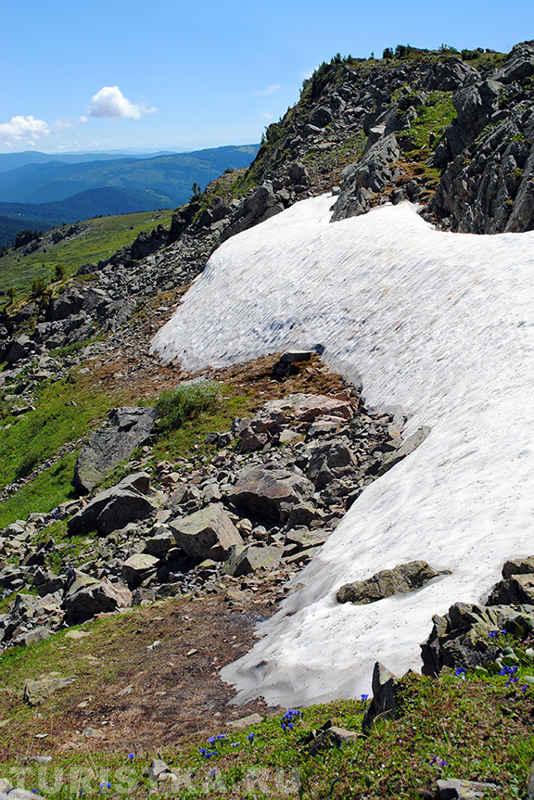 Снежник на склоне горы
