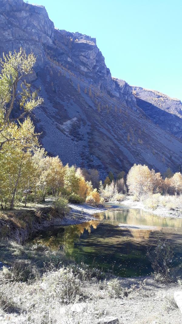 Урочище "Межелик". Чулышмвнская долина.