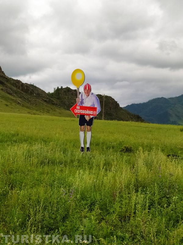 "Суровый юмор Алтая."