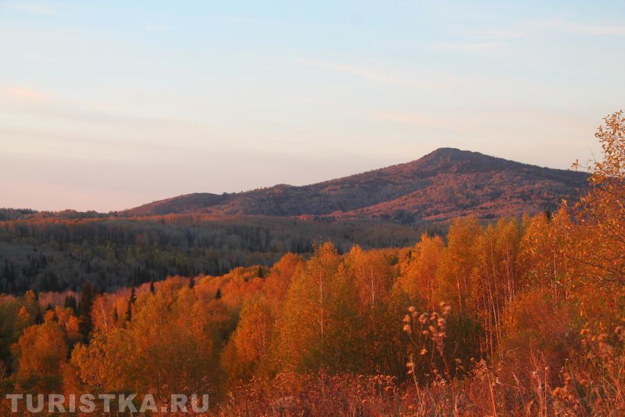 Третьяковский район Алтайского края, за с. Шипуниха