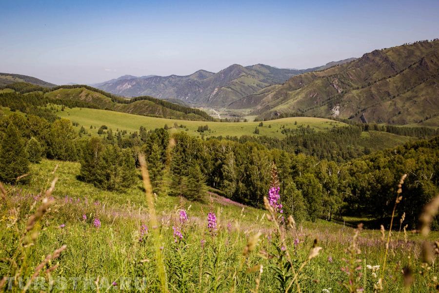 Солонешенский район, дорога до водопадов