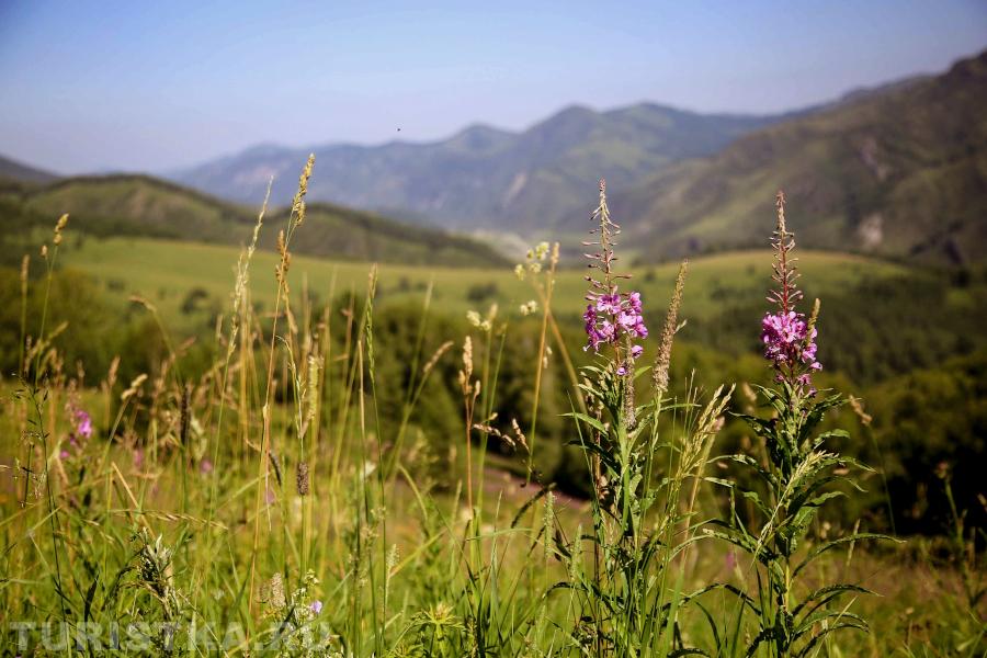 Солонешенский район, дорога до водопадов