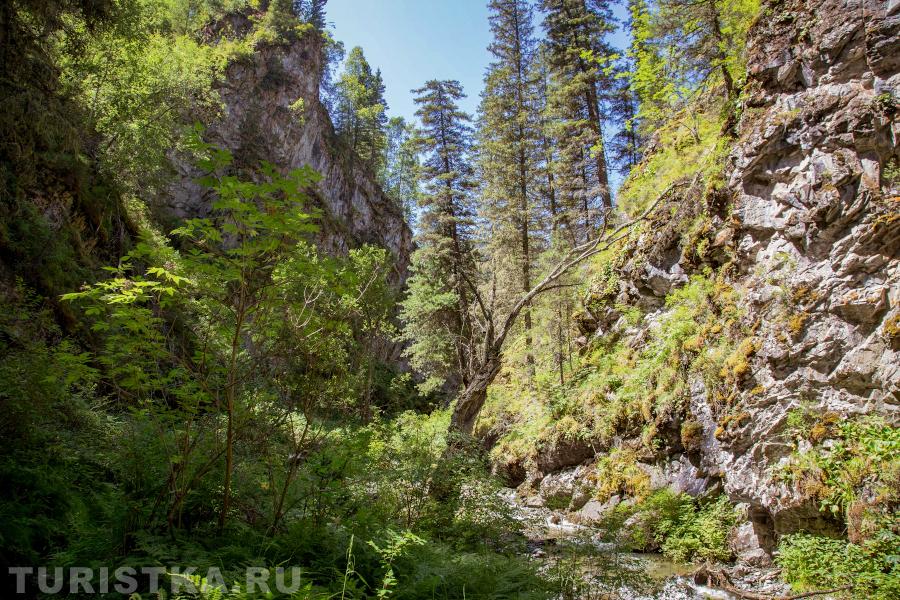 тропа до водопадов